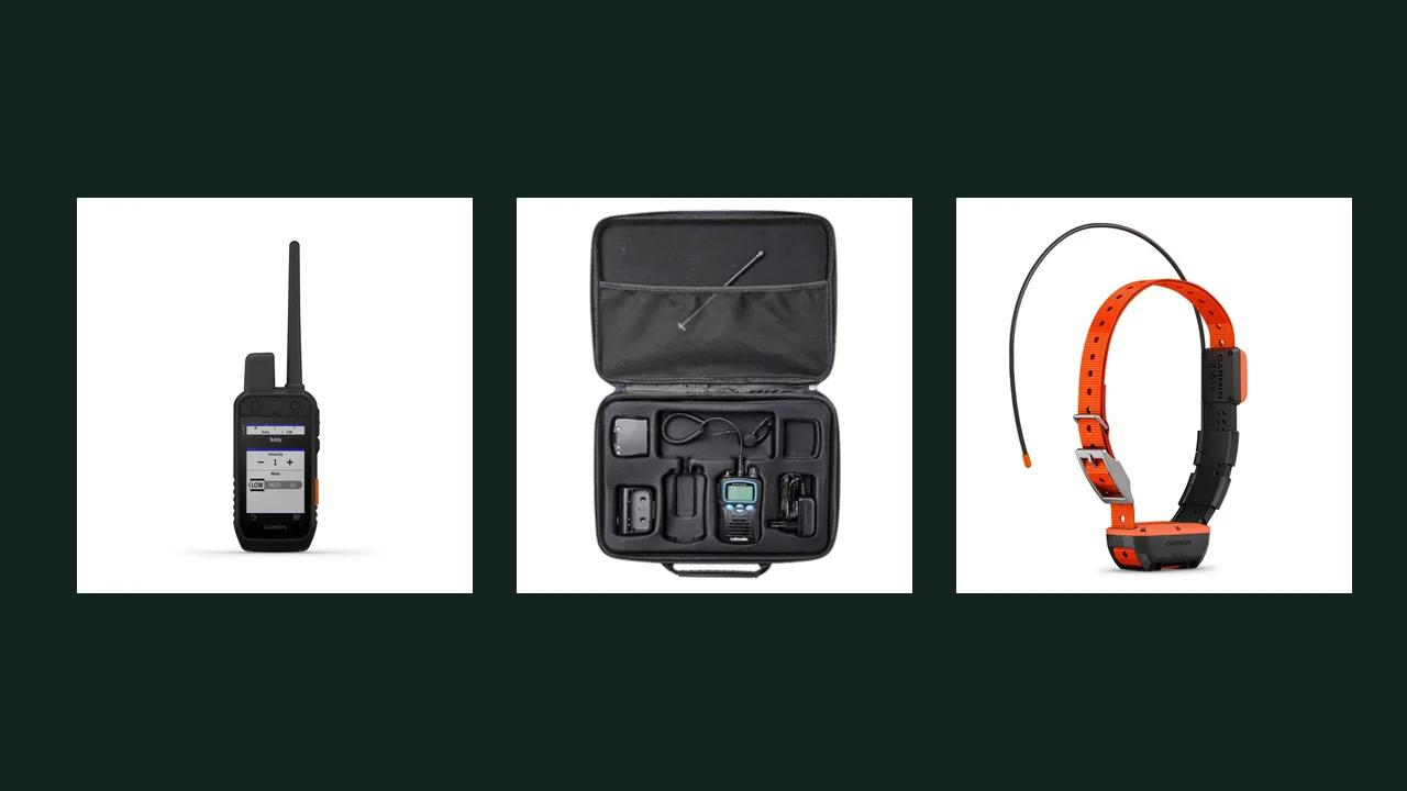 Hundpejl, jaktradio och GPS-halsband för drevjakt